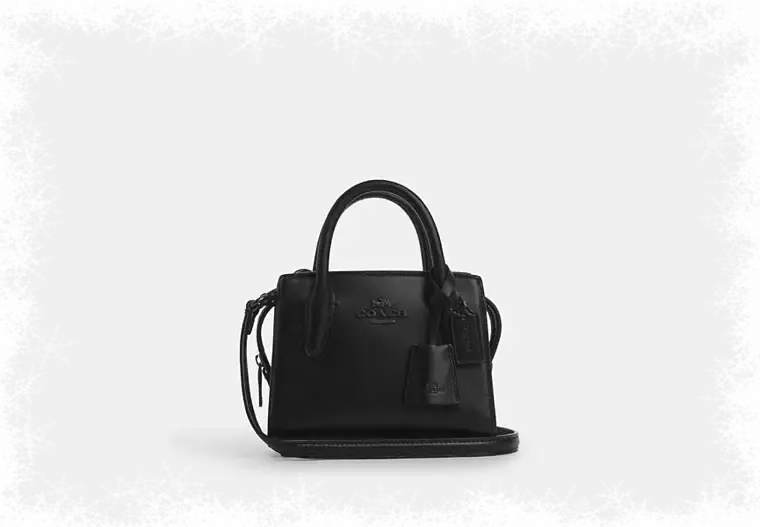 Andrea Mini Carryall-2092118217.jpg